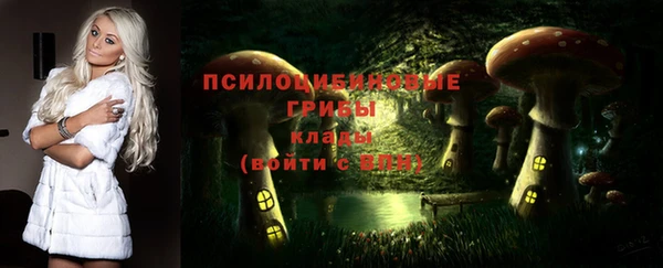 мяу мяу мука Костерёво