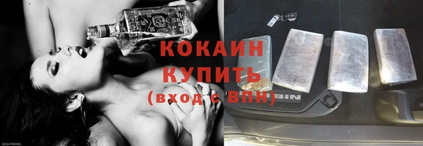 твердый Корсаков