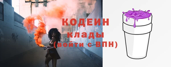 прущие грибы Кодинск