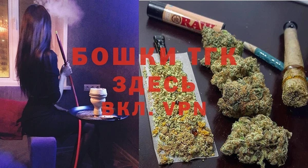 прущие грибы Кодинск