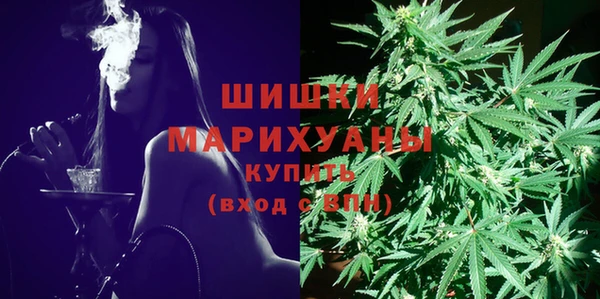mix Козельск
