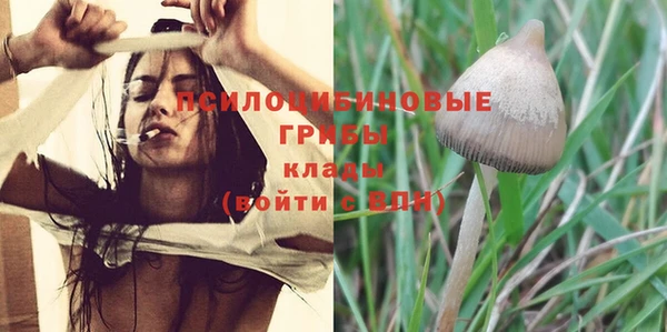 твердый Корсаков