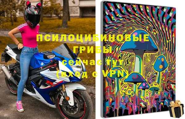прущие грибы Кодинск