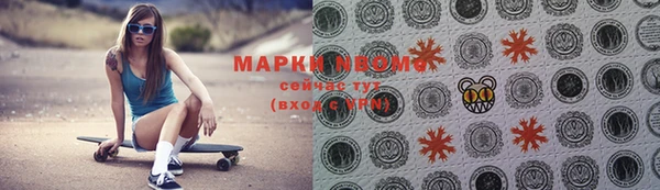 прущие грибы Кодинск