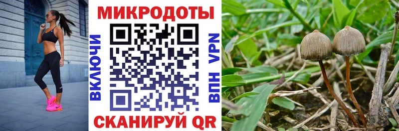 Псилоцибиновые грибы Magic Shrooms  omg ссылки  Шимановск 